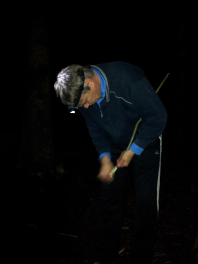 B-tween gruppe for gutar